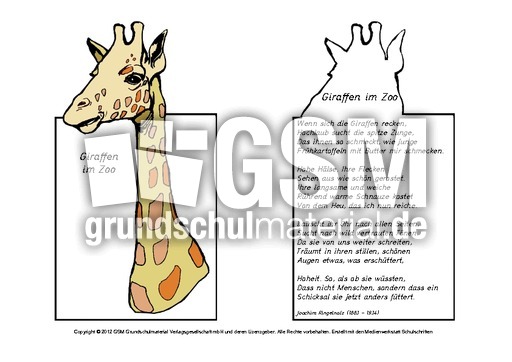 Giraffen-im-Zoo-Ringelnatz.pdf